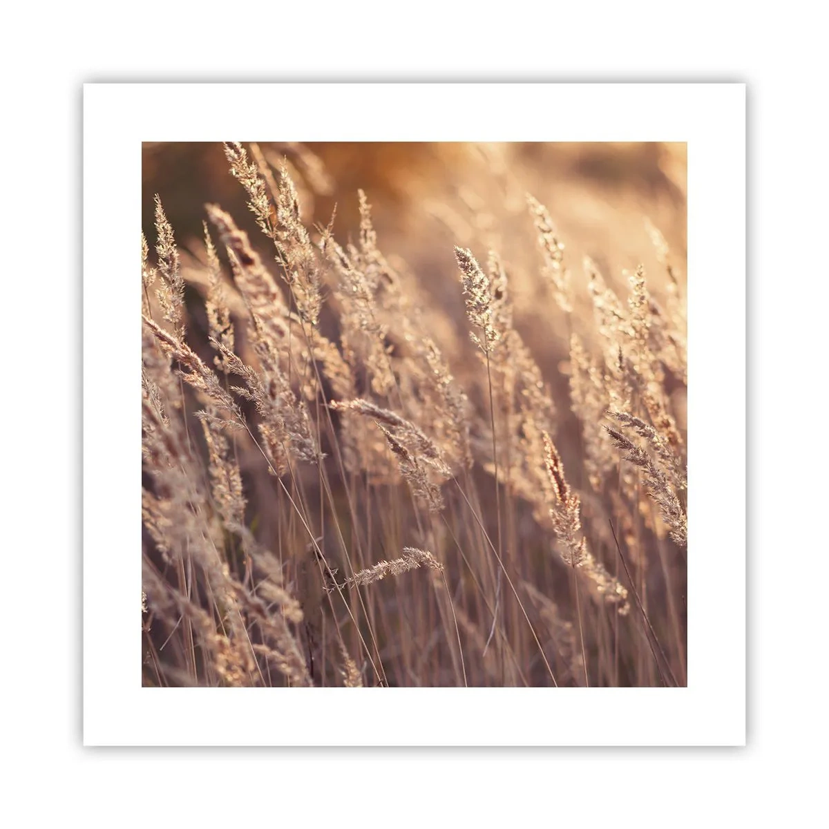 Affiche - Poster - Prêt à accueillir l'automne - 40x40 cm