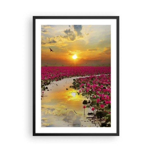 Affiche dans un cadre noir - Poster - Un champ de nénuphars roses au coucher du soleil - 50x70cm - La vie secrète du lac - Décoration murale moderne pour le salon et la chambre ARTTOR