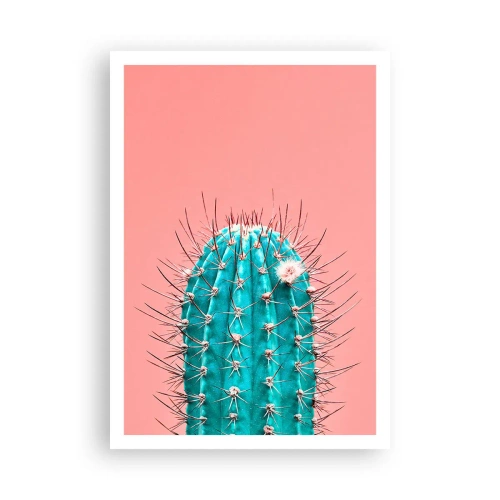 Affiche - Poster - Juste regarde - 70x100 cm