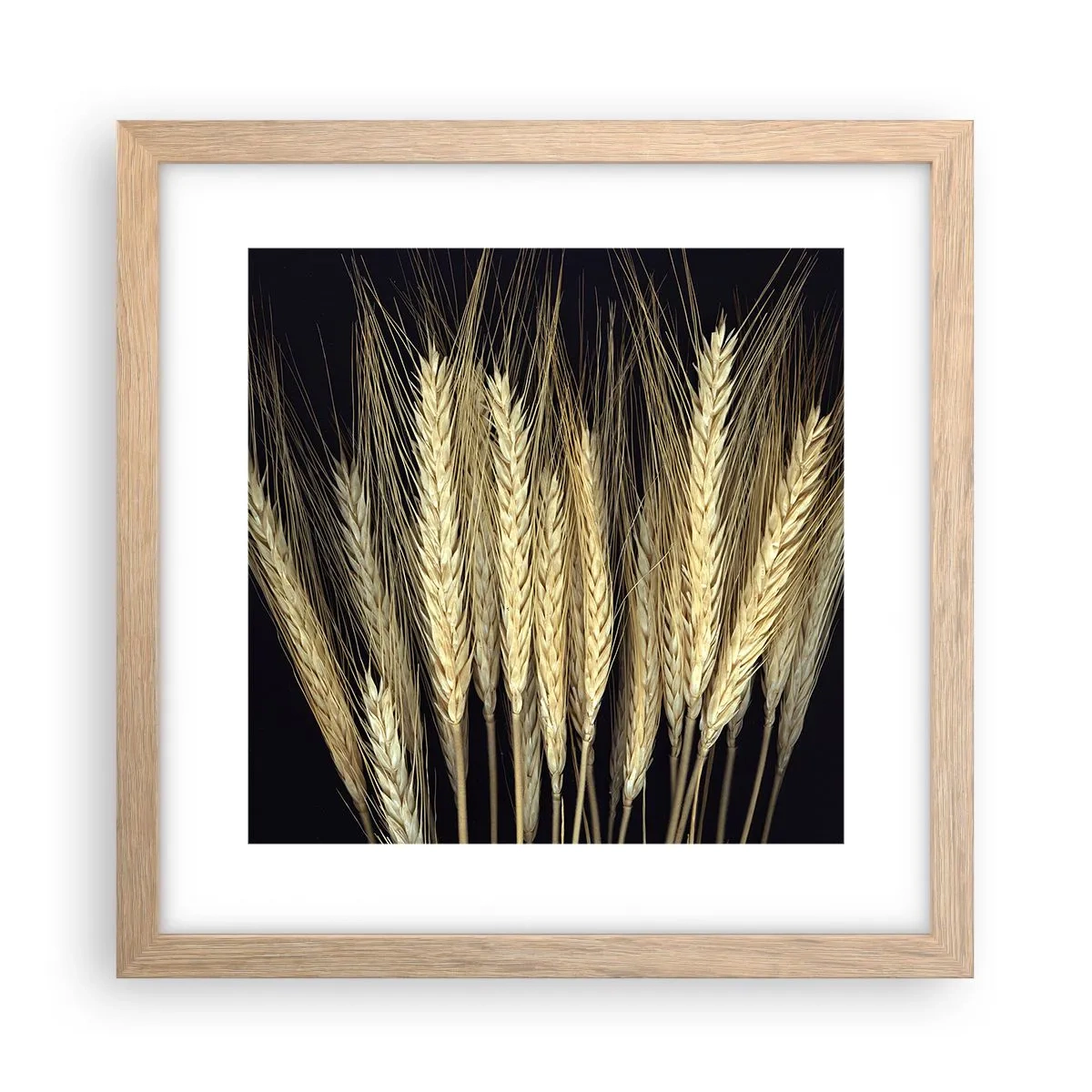 Affiche dans un chêne clair - Poster - Magie rustique - 30x30 cm