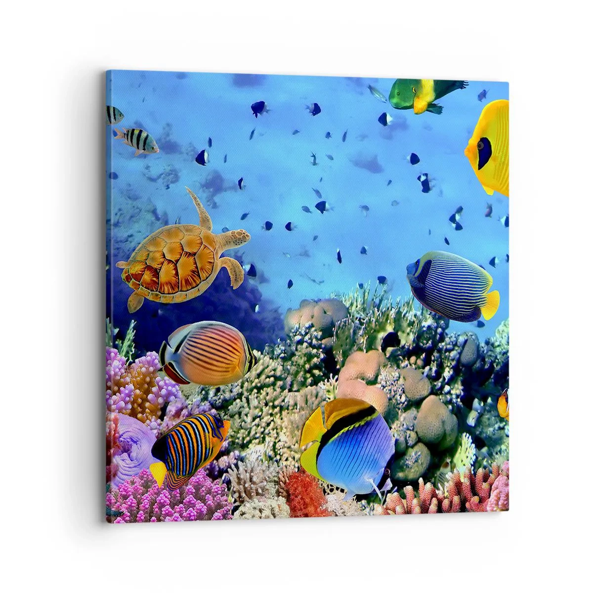 Impression sur toile - Image sur toile - Et que sait-on de la vie… - 70x70 cm