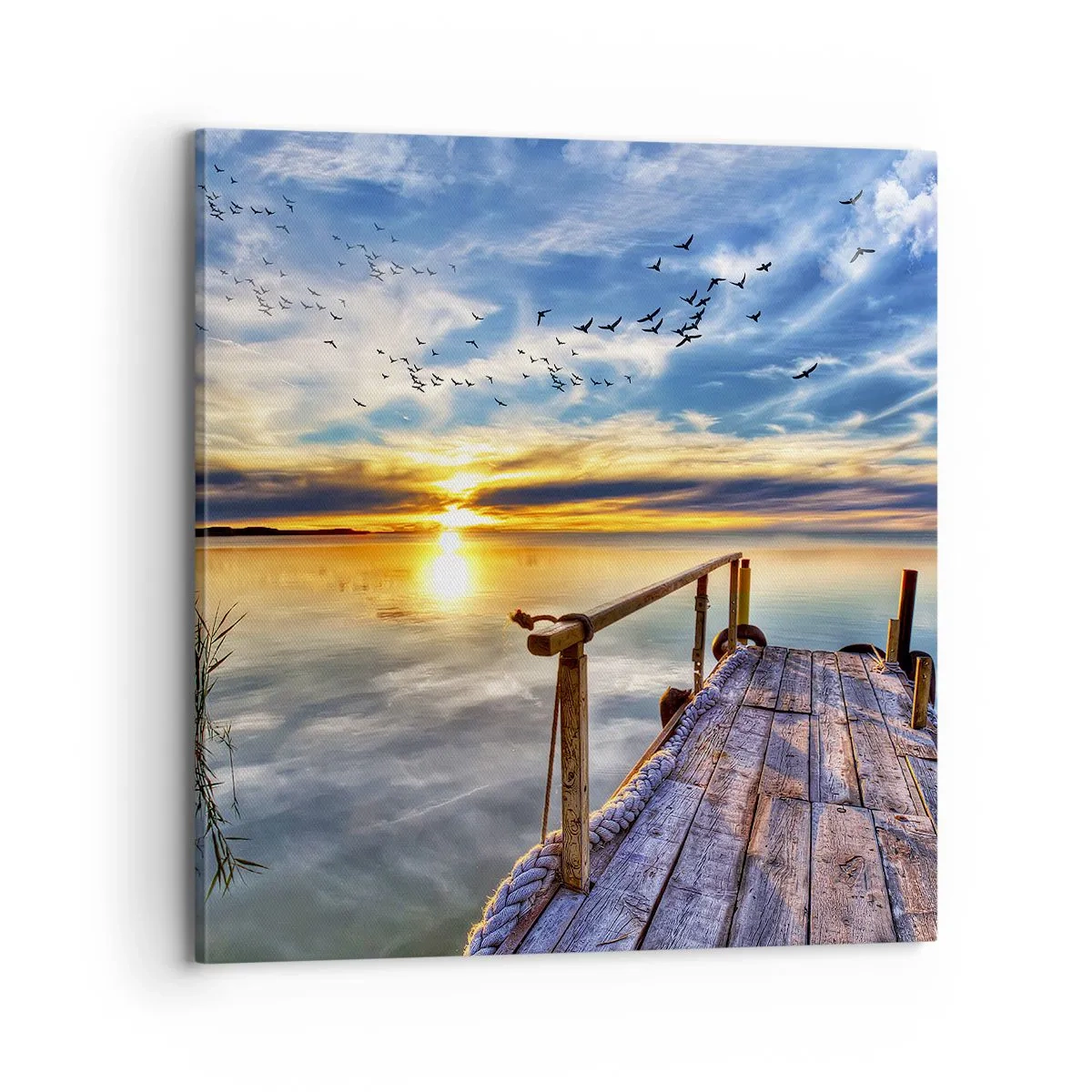 Impression sur toile - Image sur toile - Le vent se repose - 70x70 cm