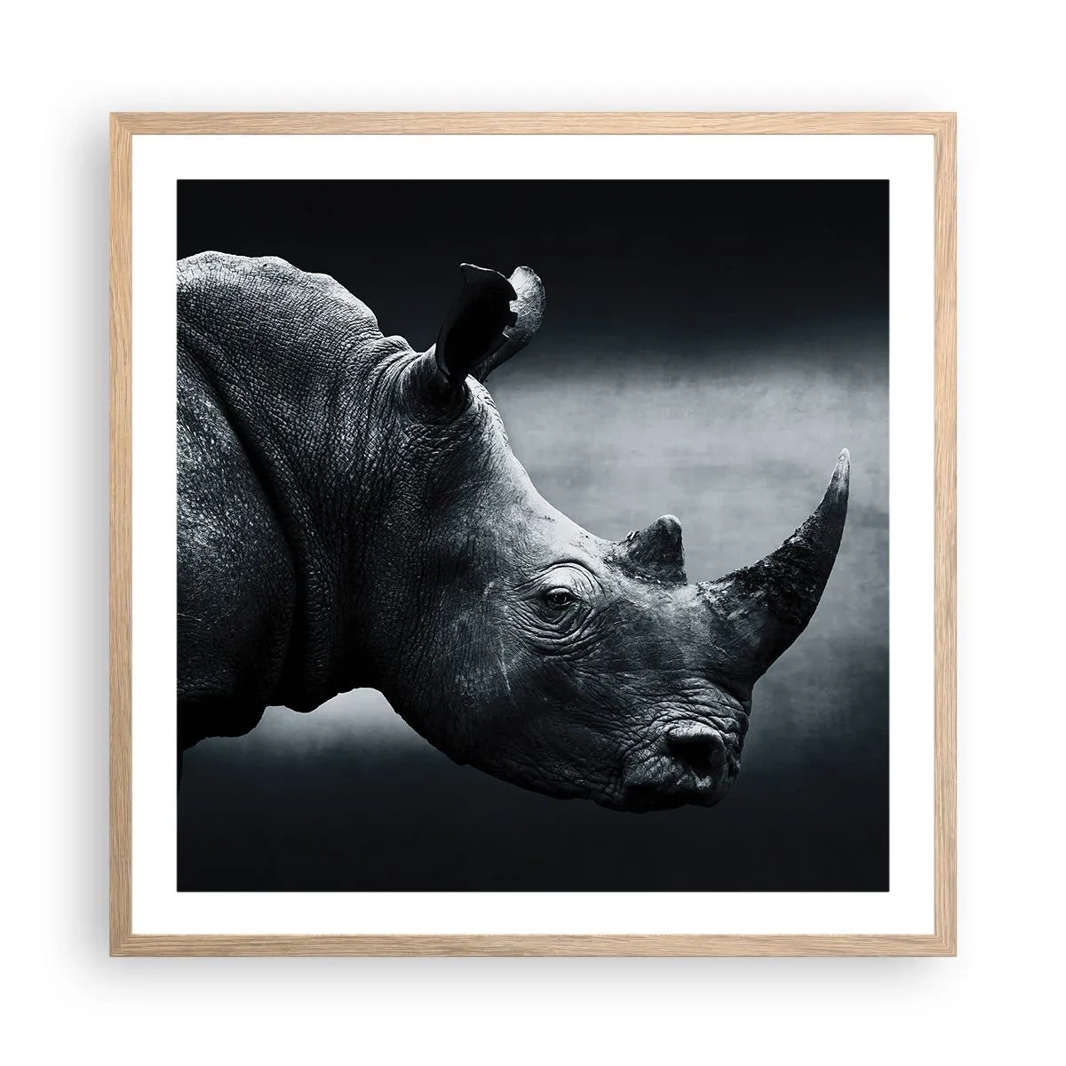 Affiche dans un chêne clair - Poster - Le profil droit - 60x60 cm