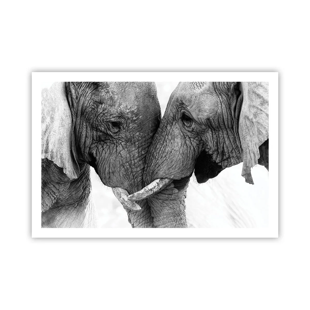 Affiche - Poster - Confession sincère - 91x61 cm