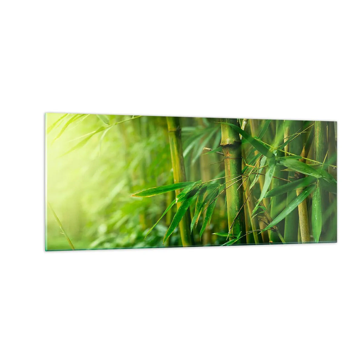 Impression sur verre - Image sur verre - Apprenez à connaître le vert lui-même - 100x40 cm