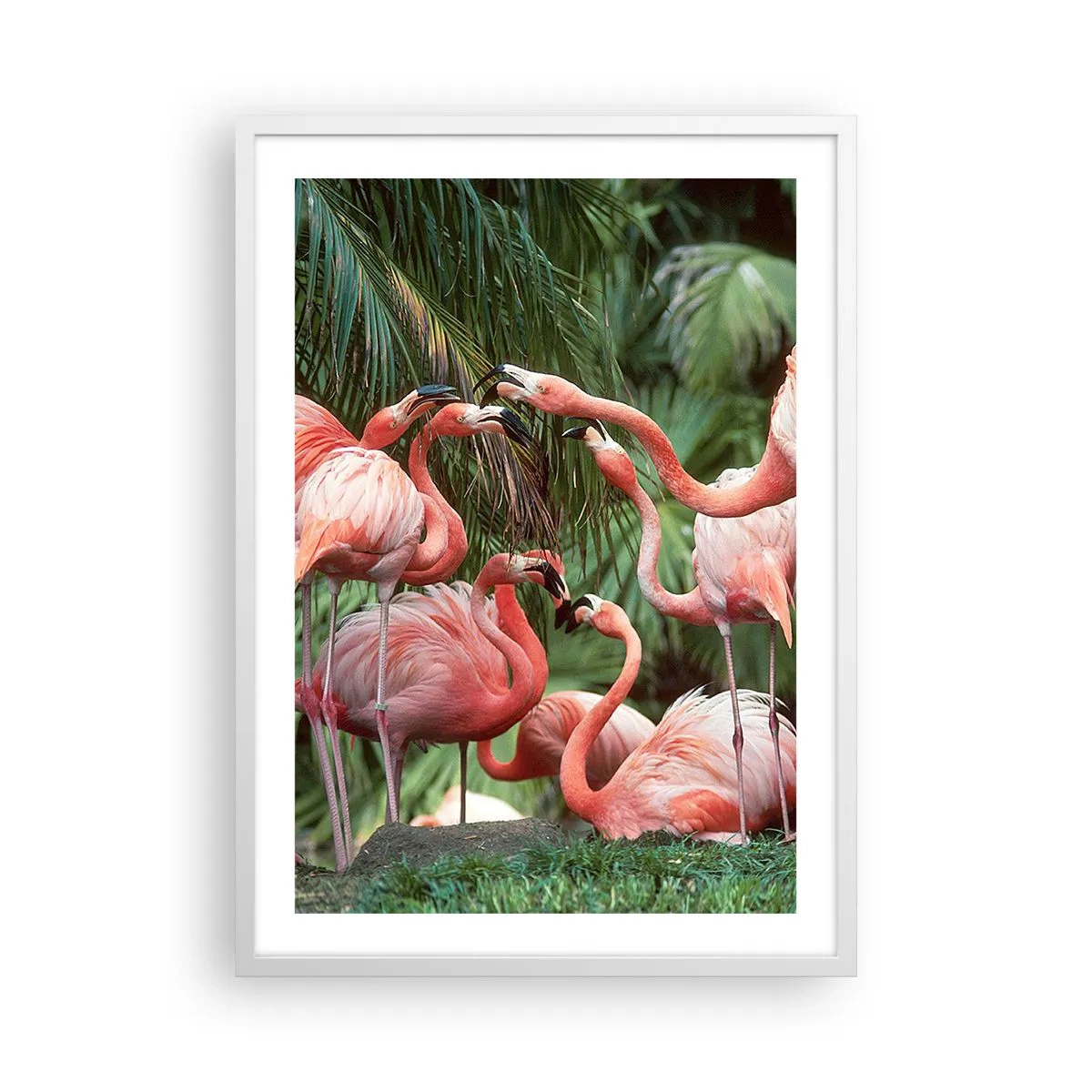 Affiche dans un cadre blanc - Poster - Potins d'après-midi - 50x70 cm