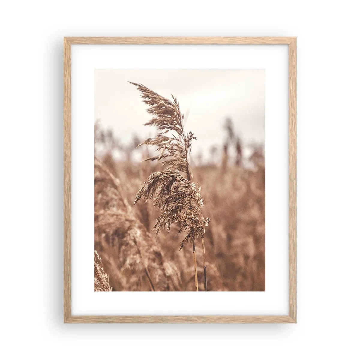 Affiche dans un chêne clair - Poster - C'est déjà l'automne dans les champs - 40x50 cm