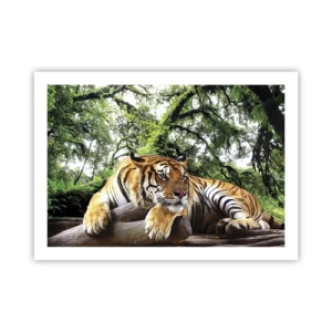 Affiche - Poster - Cordialement - 70x50 cm