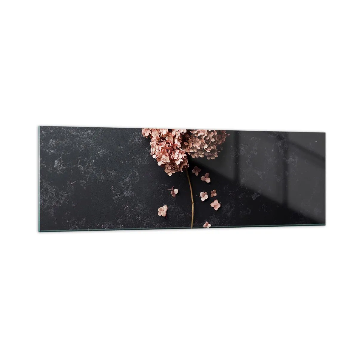 Impression sur verre - Image sur verre - Une délicate fleur d'hortensia sur un fond sombre - 160x50cm - Un signe vraiment romantique - Décoration murale moderne pour le salon et la chambre ARTTOR