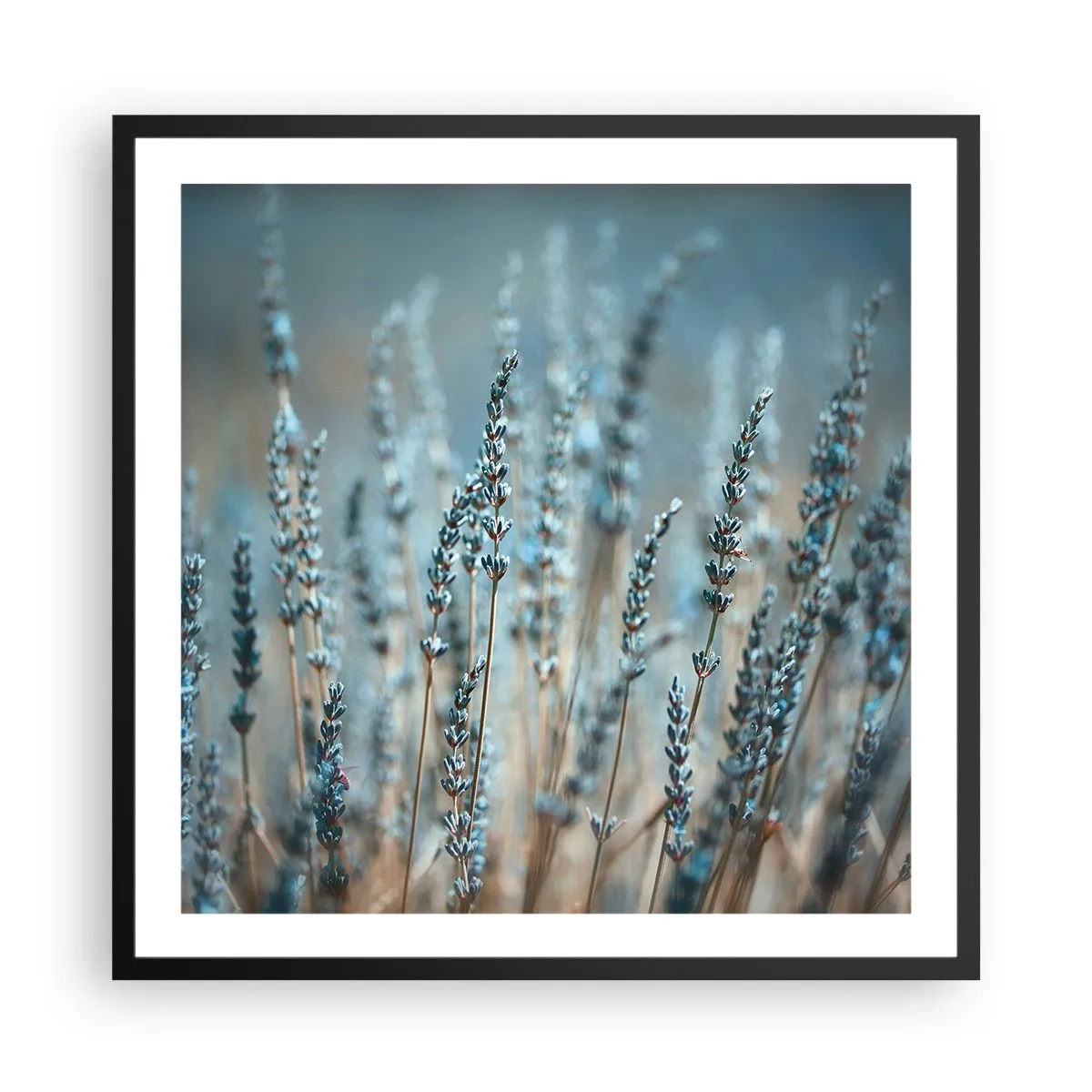 Affiche dans un cadre noir - Poster - Tige odorante - 60x60 cm