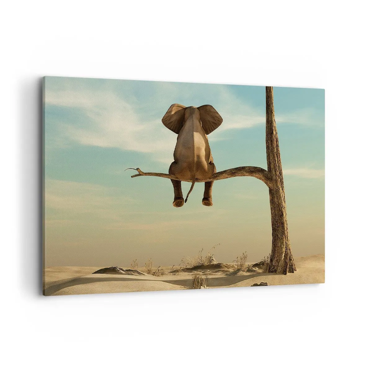 Impression sur toile - Image sur toile - Un éléphant assis sur une branche surplombant un paysage désertique - 100x70cm - Nouveau point de vue - Décoration murale moderne pour le salon et la chambre ARTTOR