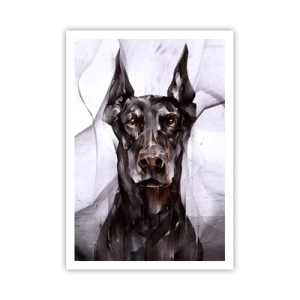 Affiche - Poster - Né noble - 70x100 cm