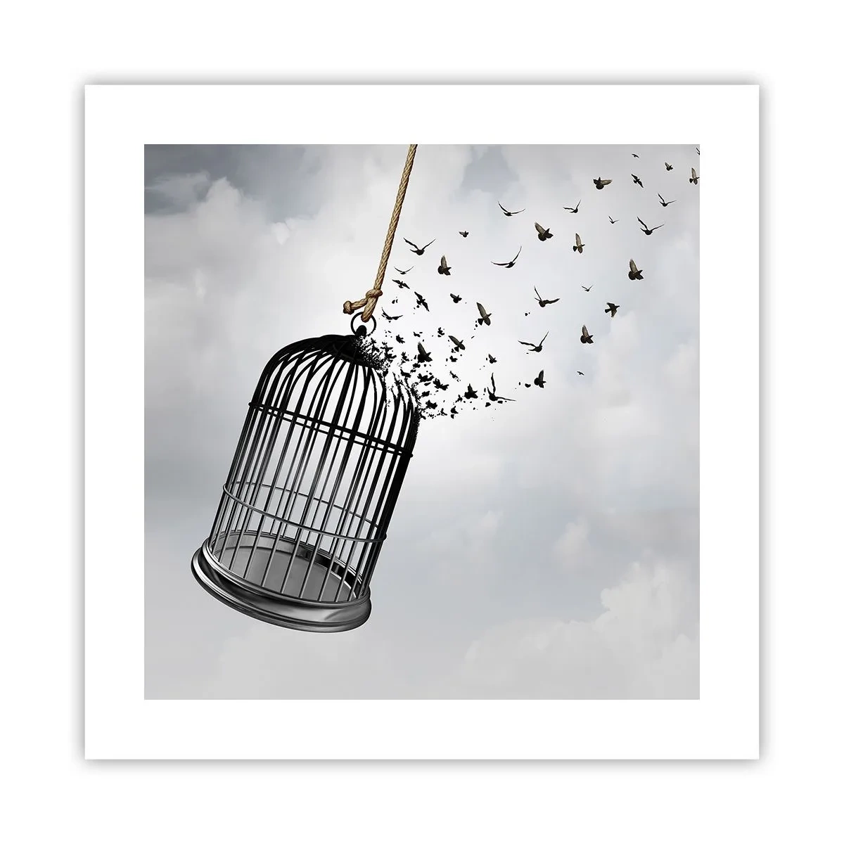 Affiche - Poster - Foie...Espoir...Liberté! - 40x40 cm