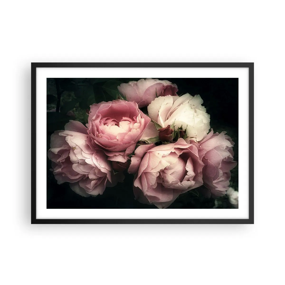 Affiche dans un cadre noir - Poster - Un bouquet de roses aux tons délicats de rose et de blanc - 70x50cm - Le charme de la belle époque - Décoration murale moderne pour le salon et la chambre ARTTOR