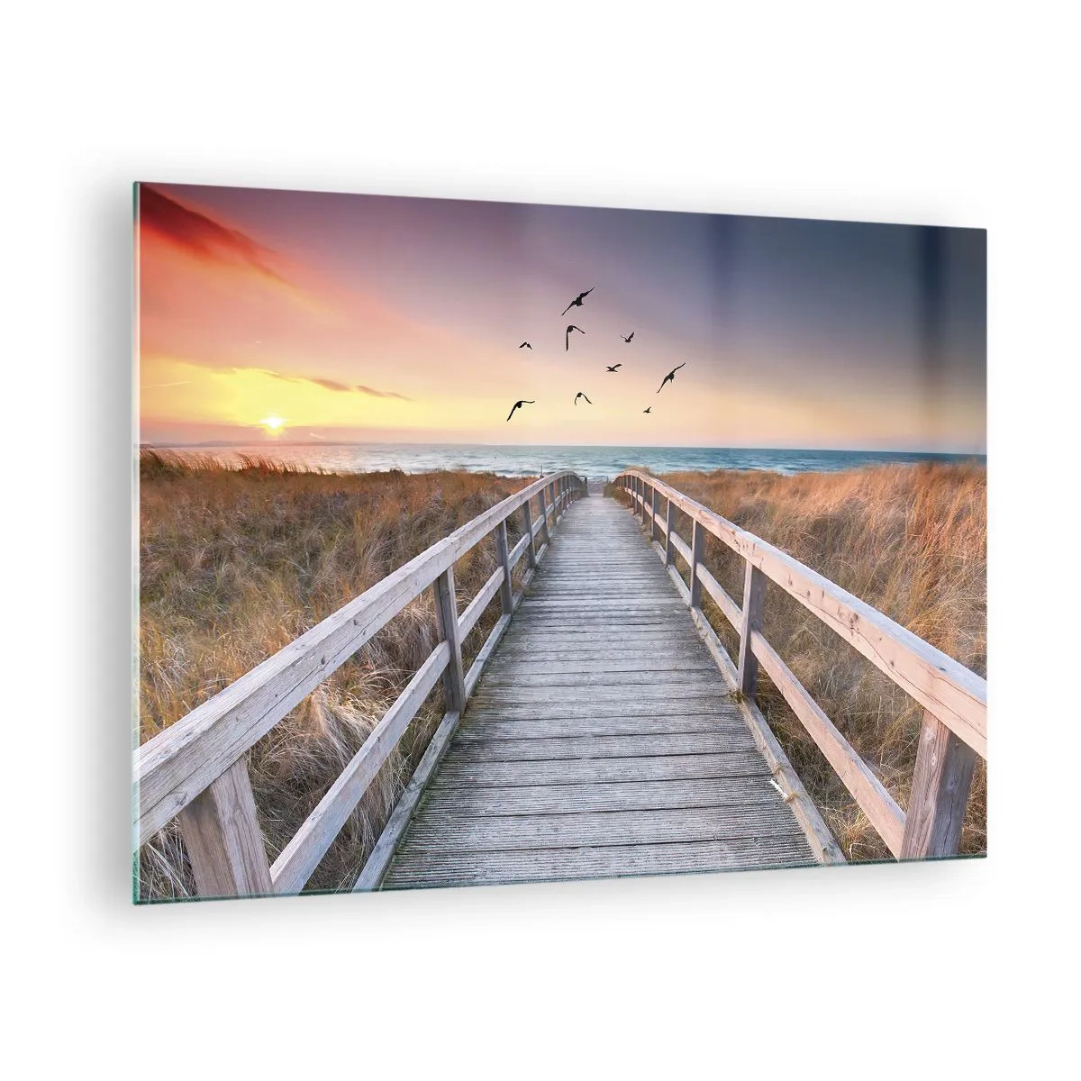 Impression sur verre - Image sur verre - Une passerelle en bois sur les dunes menant à la plage au coucher du soleil - 70x50cm - Envol des espaces - Décoration murale moderne pour le salon et la chambre ARTTOR