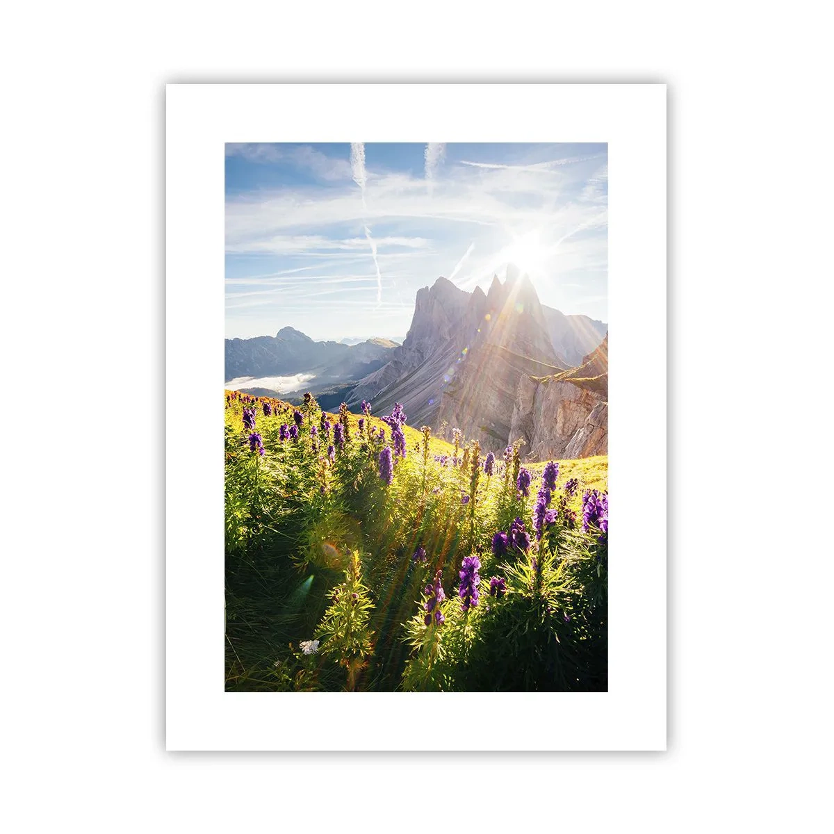 Affiche - Poster - La vie secrète des herbes - 30x40 cm