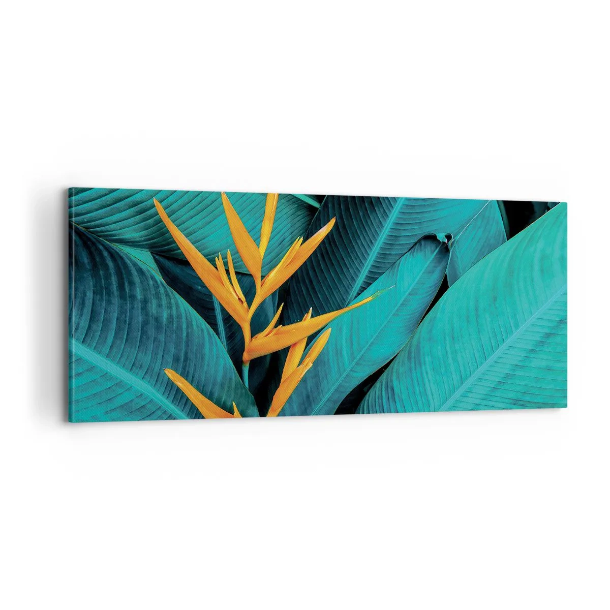 Impression sur toile - Image sur toile - Fleur d'Eden - 100x40 cm