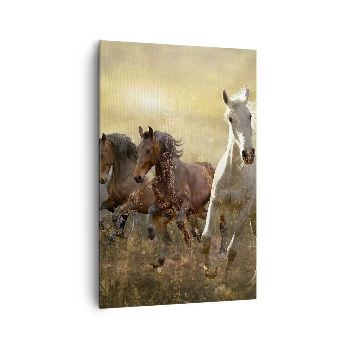 Impression sur toile - Image sur toile - Un groupe de chevaux au galop sur fond de soleil couchant - 80x120cm - Vive la liberté! - Décoration murale moderne pour le salon et la chambre ARTTOR