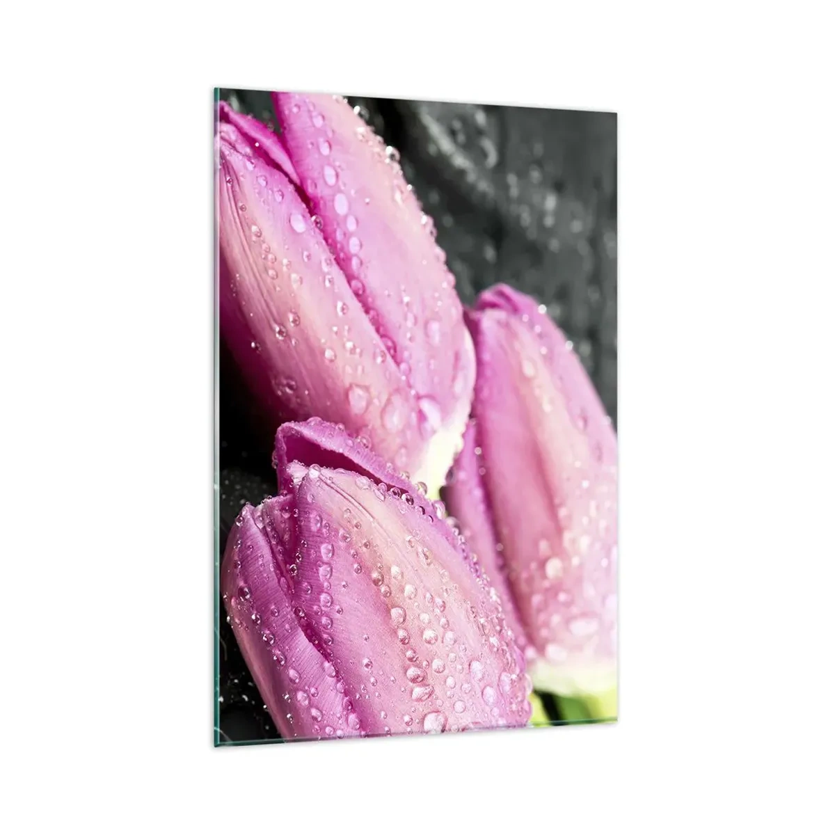 Impression sur verre - Image sur verre - Trois tulipes roses avec des gouttes d'eau sur fond noir - 80x120cm - Lilas trois sur une pierre noire - Décoration murale moderne pour le salon et la chambre ARTTOR