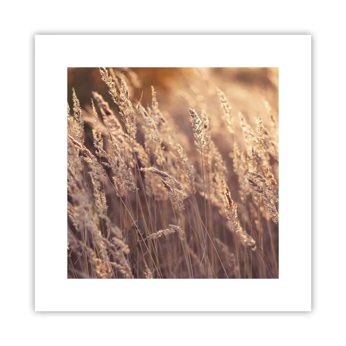 Affiche - Poster - Prêt à accueillir l'automne - 30x30 cm