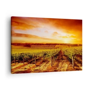 Impression sur toile - Image sur toile - Vignoble au coucher du soleil avec des tons de ciel chauds - 70x50cm - Légèrement fruité avec une pointe de soleil - Décoration murale moderne pour le salon et la chambre ARTTOR