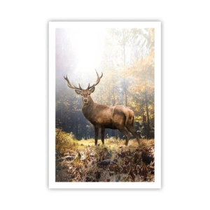 Affiche - Poster - Toute sa majesté - 61x91 cm