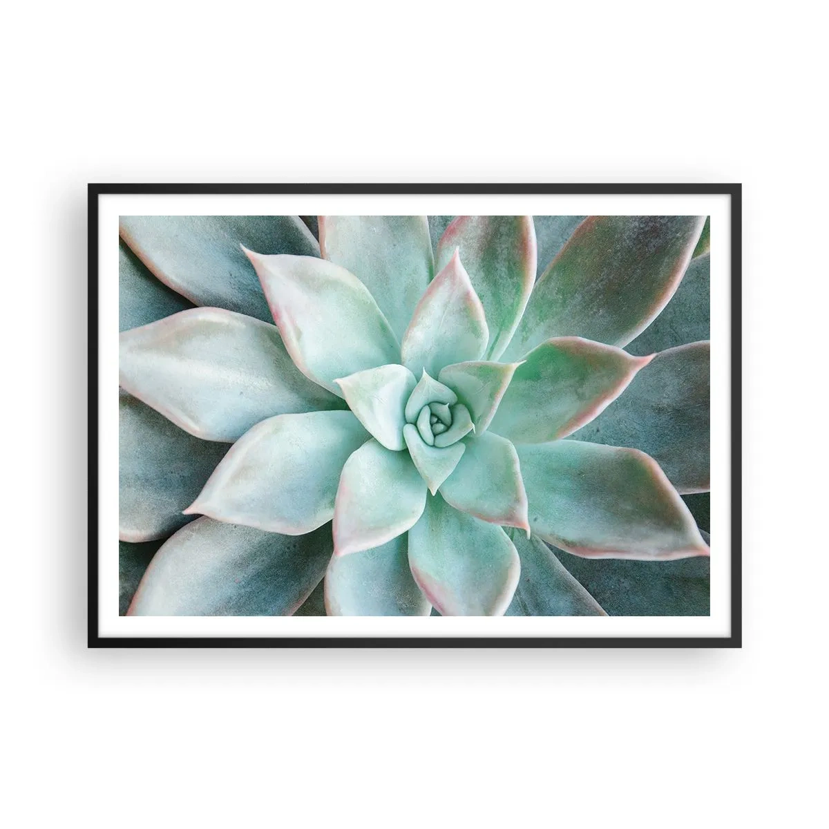 Affiche dans un cadre noir - Poster - Gros plan d'une succulente verte - 100x70cm - Le coeur du désert - Décoration murale moderne pour le salon et la chambre ARTTOR
