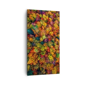 Impression sur toile - Image sur toile - Bouquet d'arbres automnal - 55x100 cm