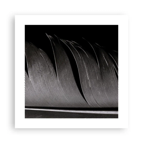 Affiche - Poster - La plume – un design magnifique - 40x40 cm