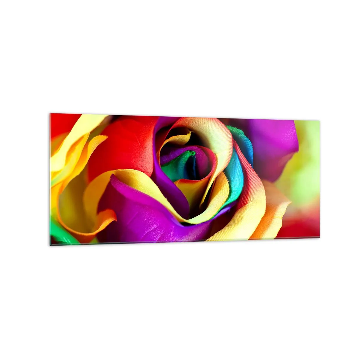 Impression sur verre - Image sur verre - Une rose colorée aux nuances de l'arc-en-ciel - 120x50cm - Ce n'est pas possible - Décoration murale moderne pour le salon et la chambre ARTTOR