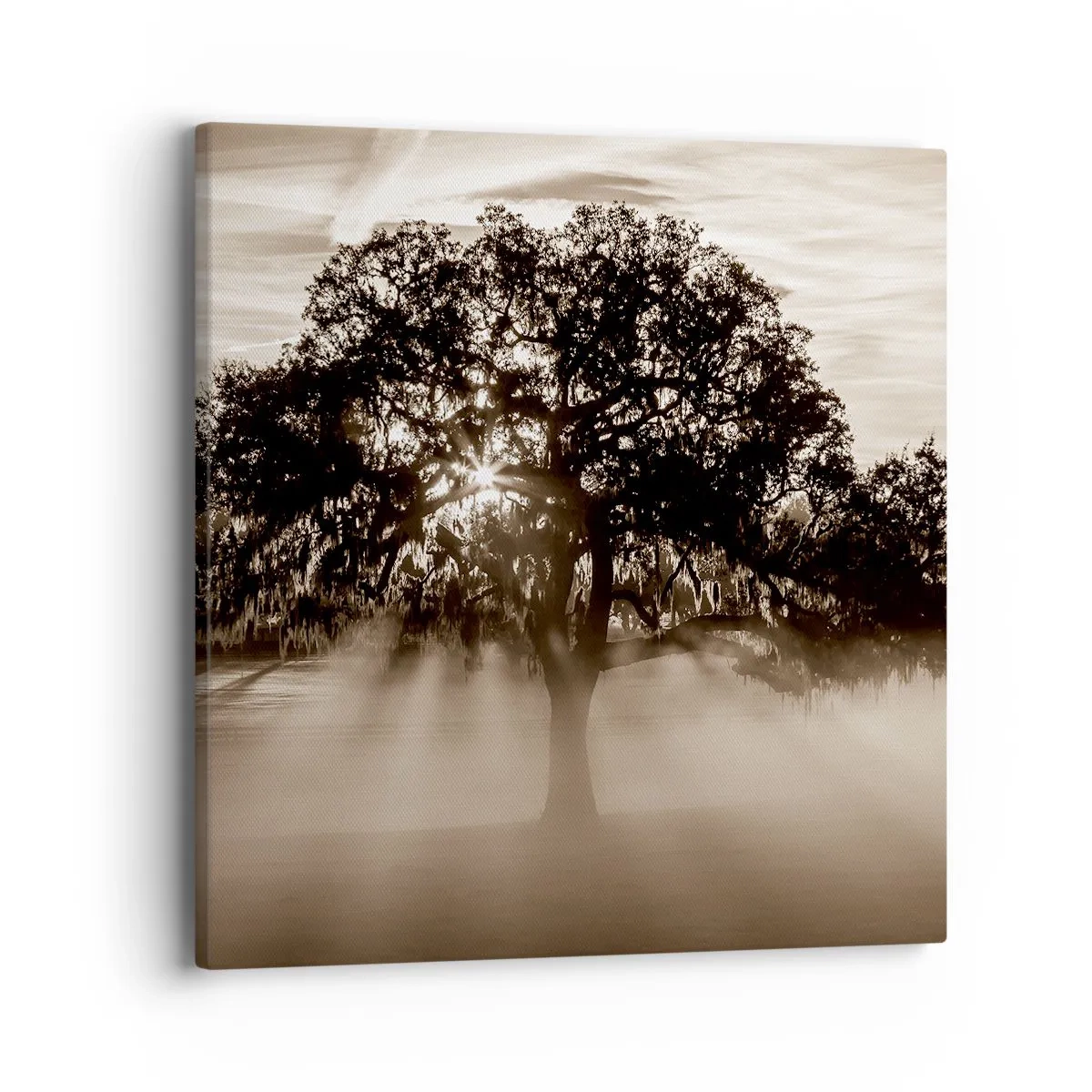 Impression sur toile - Image sur toile - Arbre de bonnes nouvelles - 40x40 cm