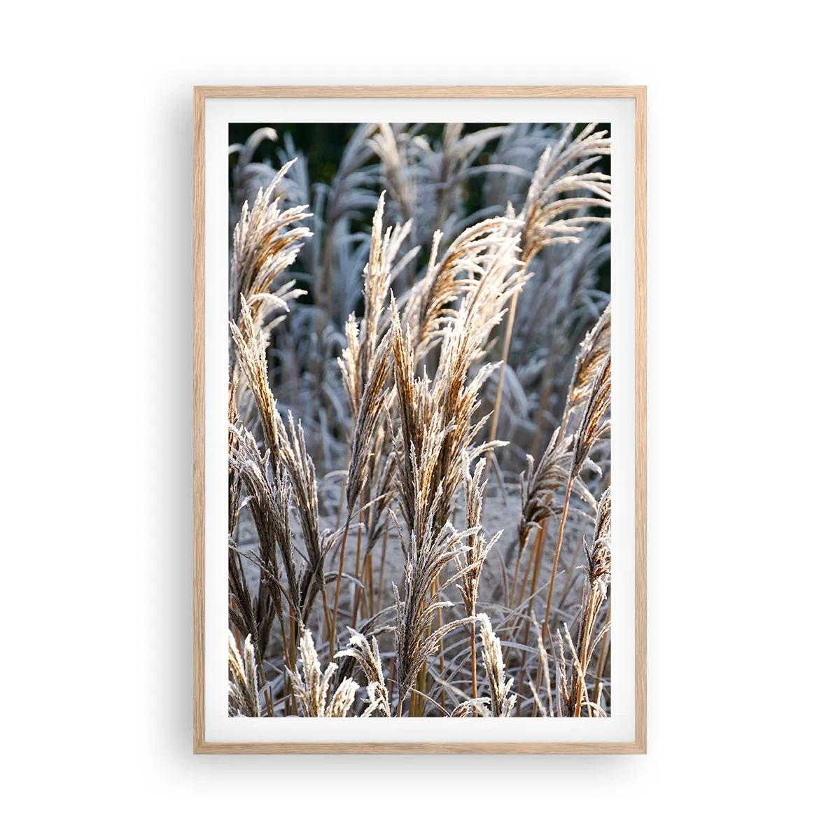 Affiche dans un chêne clair - Poster - Habillé de givre - 61x91 cm