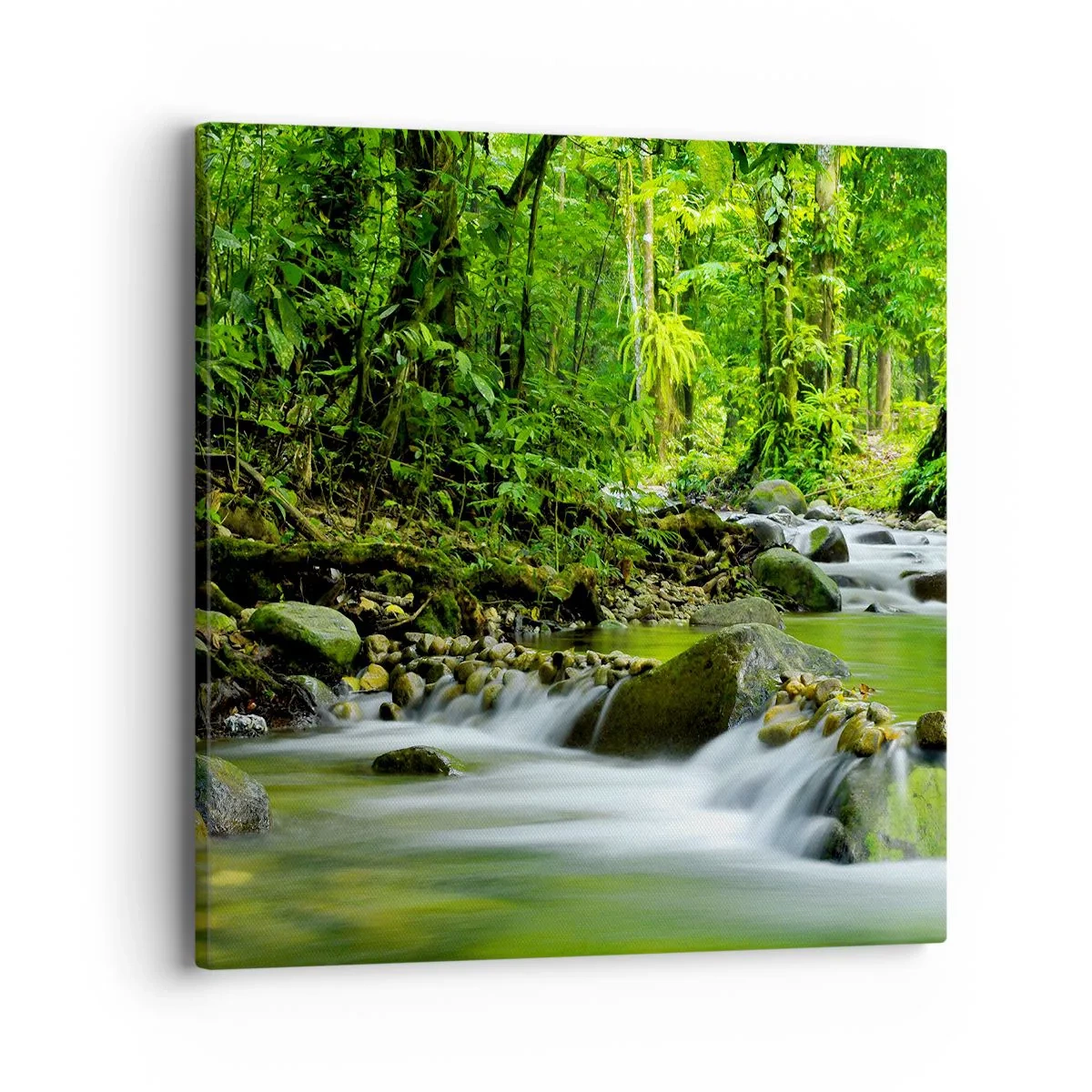 Impression sur toile - Image sur toile - Nager dans un océan de verdure - 40x40 cm