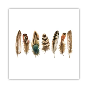 Affiche - Poster - Variation à plumes - 40x40 cm