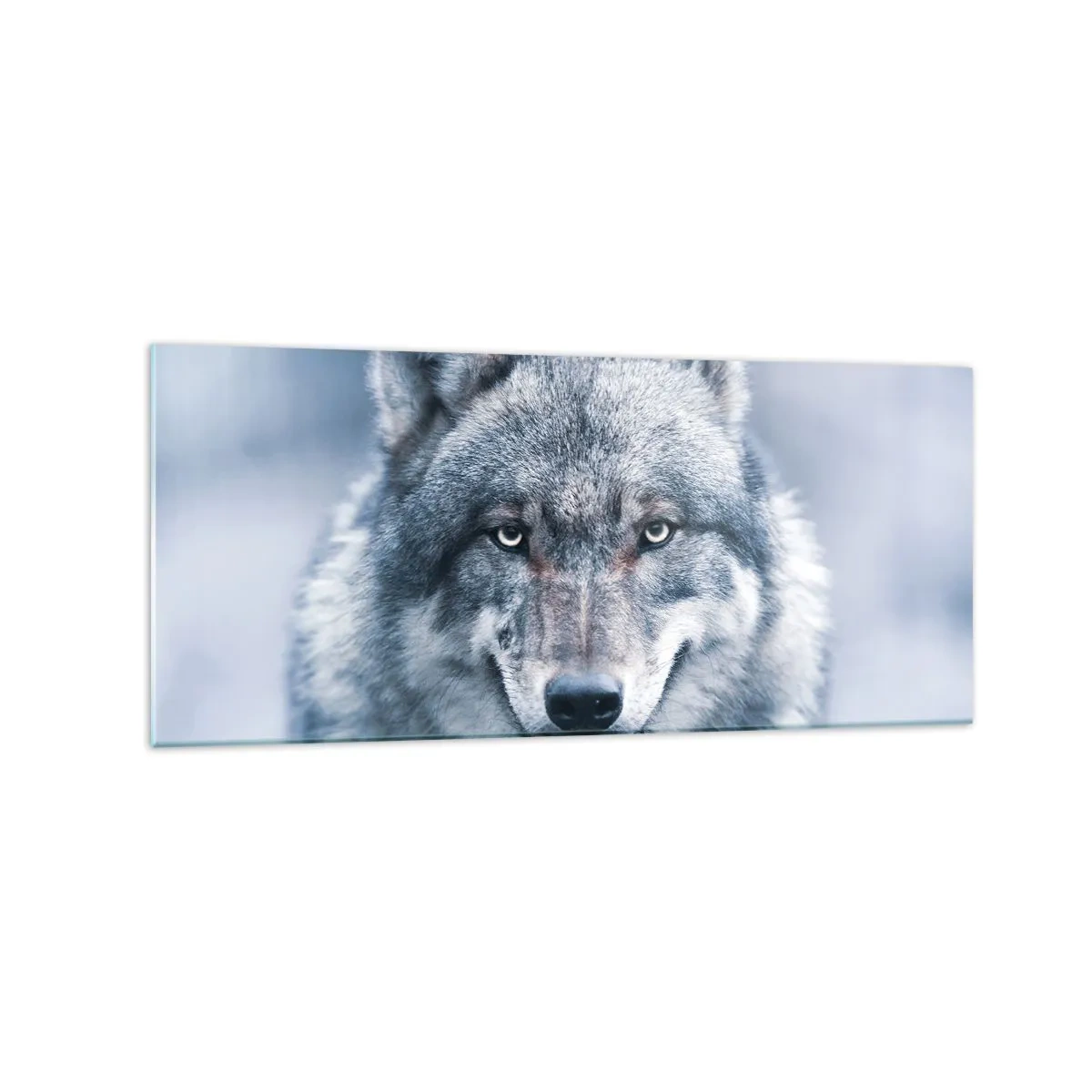 Impression sur verre - Image sur verre - Un loup au regard intense dans un paysage hivernal - 120x50cm - Relèverez-vous le défi ? - Décoration murale moderne pour le salon et la chambre ARTTOR