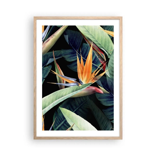 Affiche dans un chêne clair - Poster - Fleurs flamboyantes des tropiques - 50x70 cm