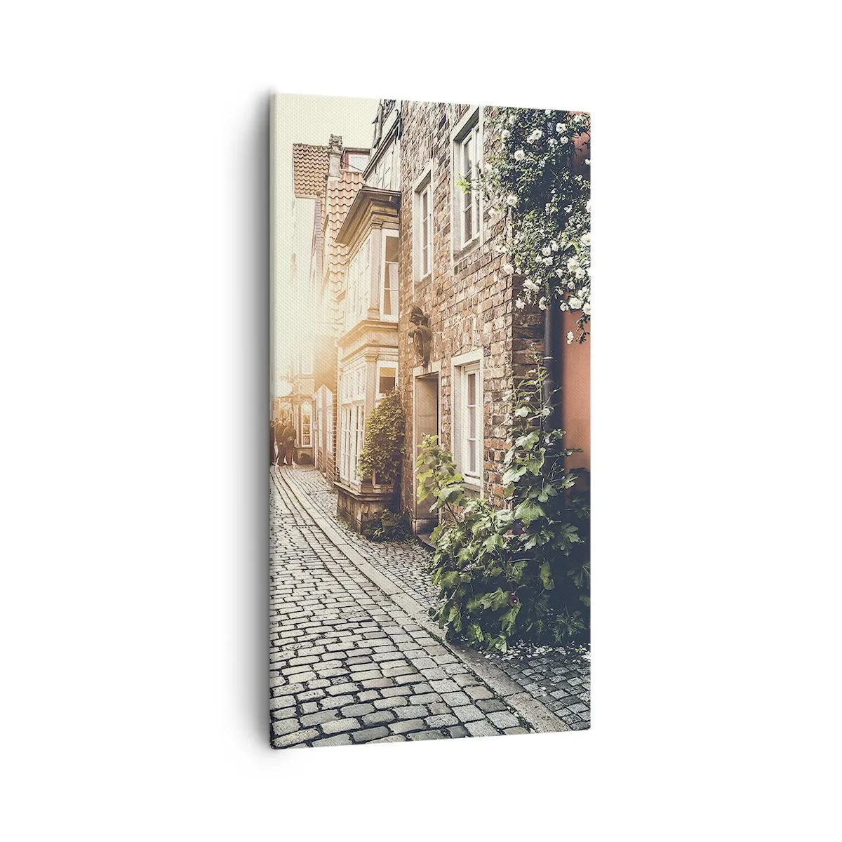 Impression sur toile - Image sur toile - Allée de roses en lueur rose - 55x100 cm