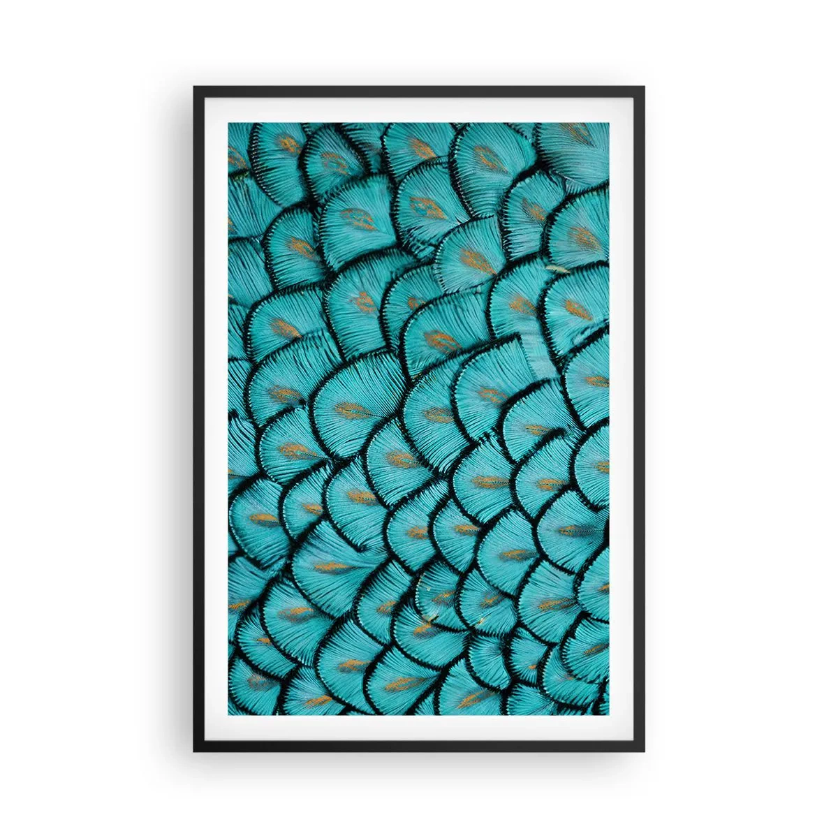 Affiche dans un cadre noir - Poster - Le grand gala des plumes - 61x91 cm