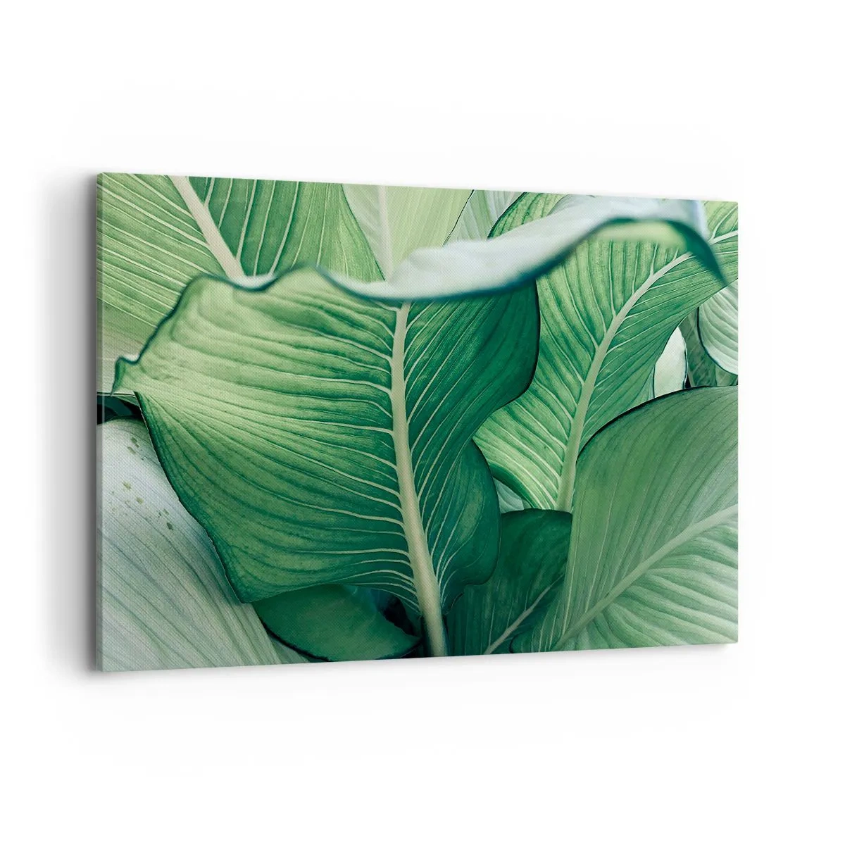 Impression sur toile - Image sur toile - Feuilles vertes avec des détails et une structure expressifs - 120x80cm - Une vie intensément verte - Décoration murale moderne pour le salon et la chambre ARTTOR