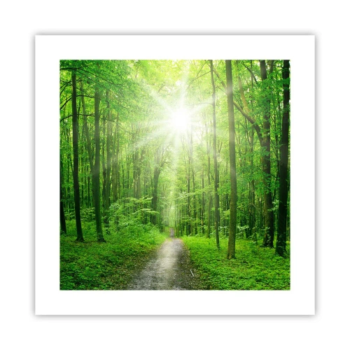 Affiche - Poster - Cathédrale verte - 40x40 cm