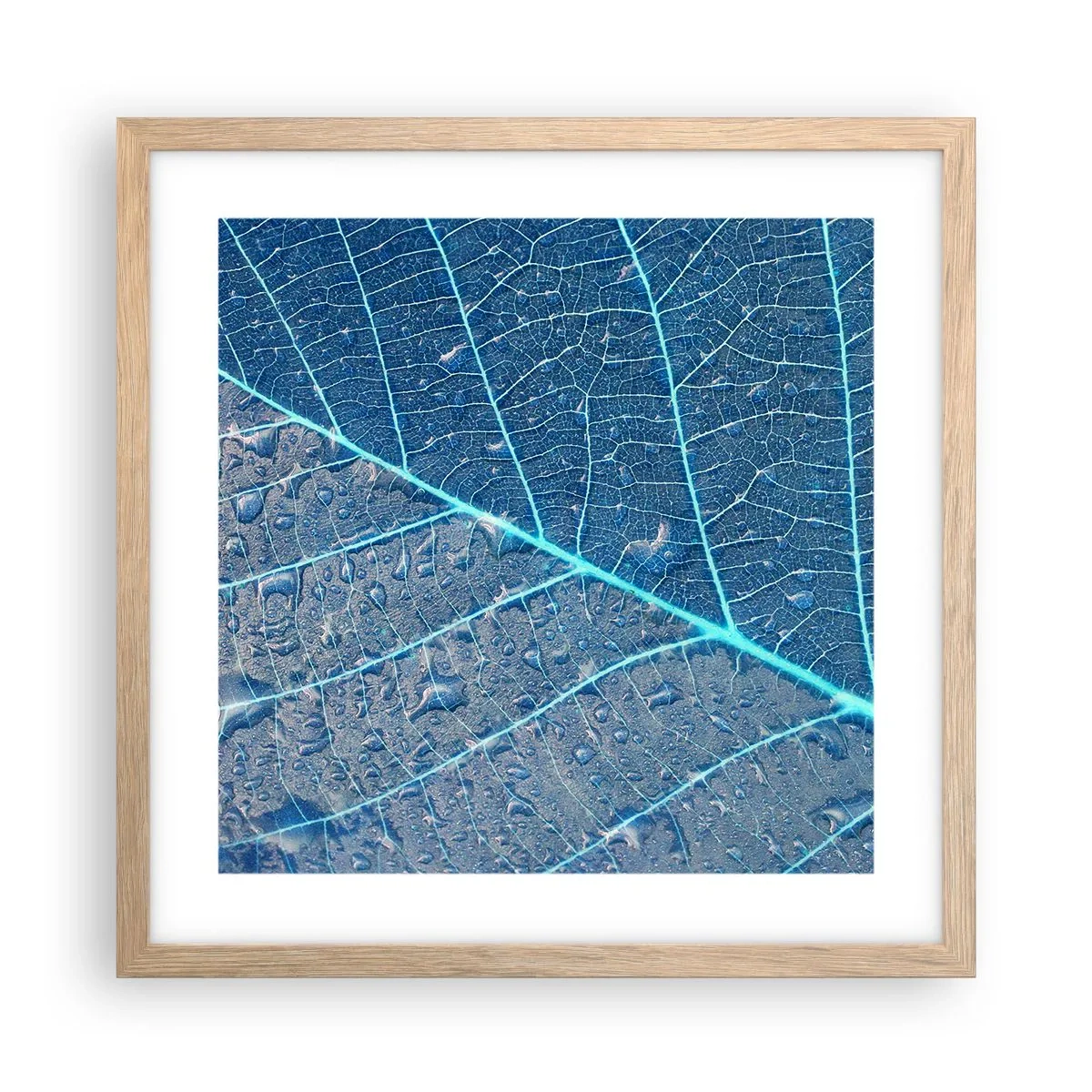 Affiche dans un chêne clair - Poster - La vie en bleu - 40x40 cm