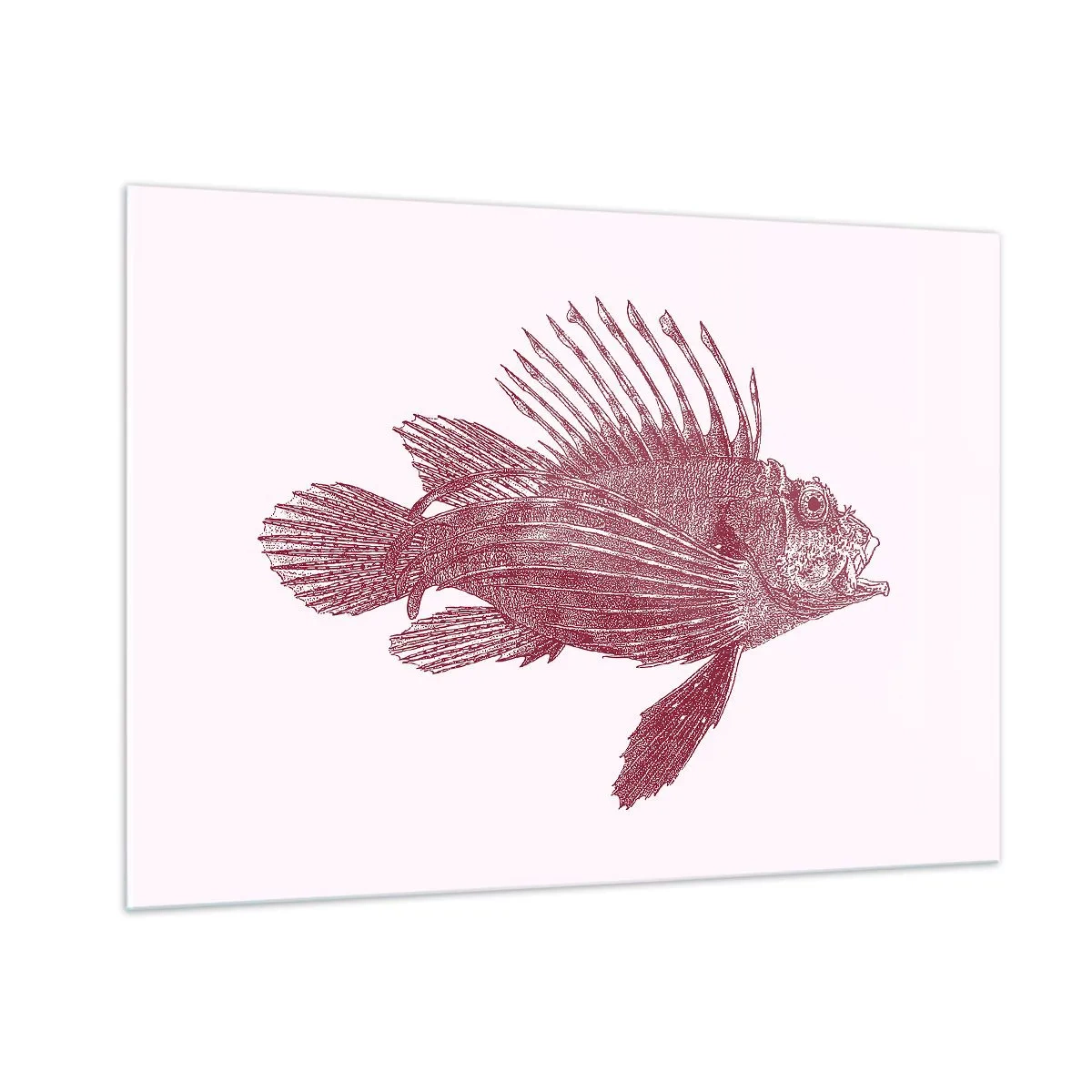 Impression sur verre - Image sur verre - Croquis d'un poisson exotique de couleur bordeaux sur fond clair - 100x70cm - Un habitant des eaux exotiques - Décoration murale moderne pour le salon et la chambre ARTTOR