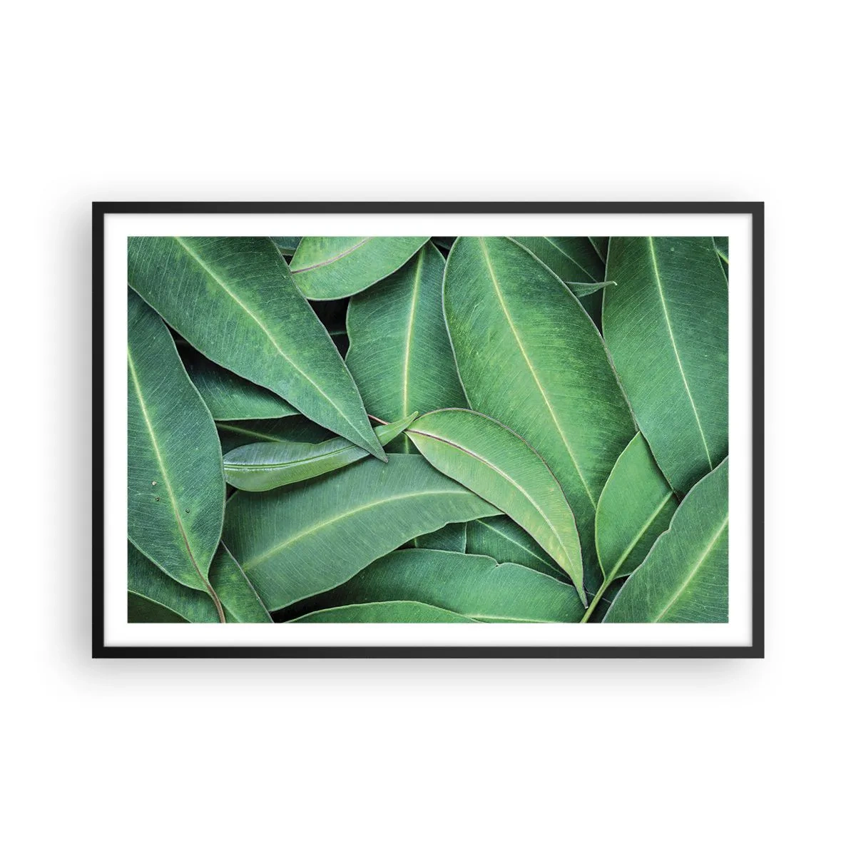 Affiche dans un cadre noir - Poster - Juteux et frais - 91x61 cm