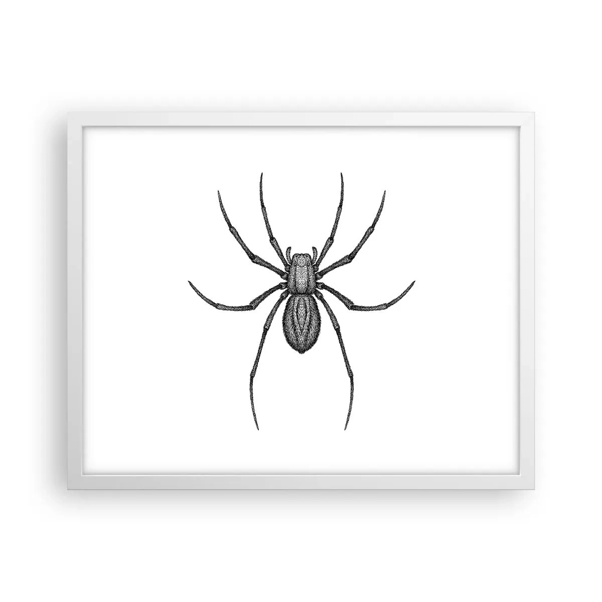 Affiche dans un cadre blanc - Poster - Une précision troublante - 50x40 cm