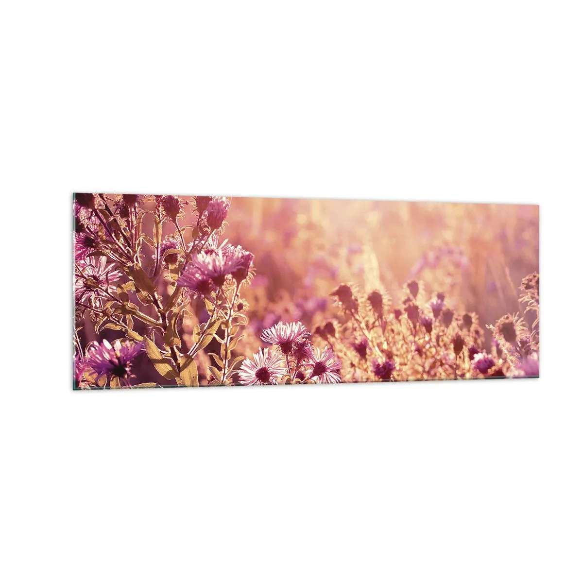 Impression sur verre - Image sur verre - Prairie à la lumière du soleil couchant - 140x50cm - Avant que l'été ne parte - Décoration murale moderne pour le salon et la chambre ARTTOR