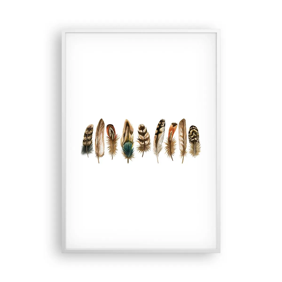 Affiche dans un cadre blanc - Poster - Variation à plumes - 70x100 cm