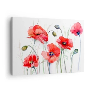 Impression sur toile - Image sur toile - Coquelicots à l'aquarelle sur un fond délicat - 70x50cm - Fleurs polonaises - Décoration murale moderne pour le salon et la chambre ARTTOR