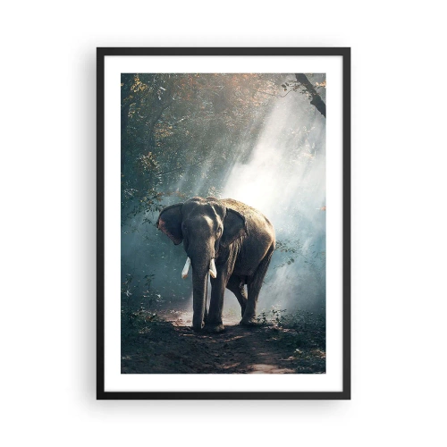Affiche dans un cadre noir - Poster - Un éléphant se prélassant au soleil dans une forêt dense - 50x70cm - Une balade tranquille - Décoration murale moderne pour le salon et la chambre ARTTOR