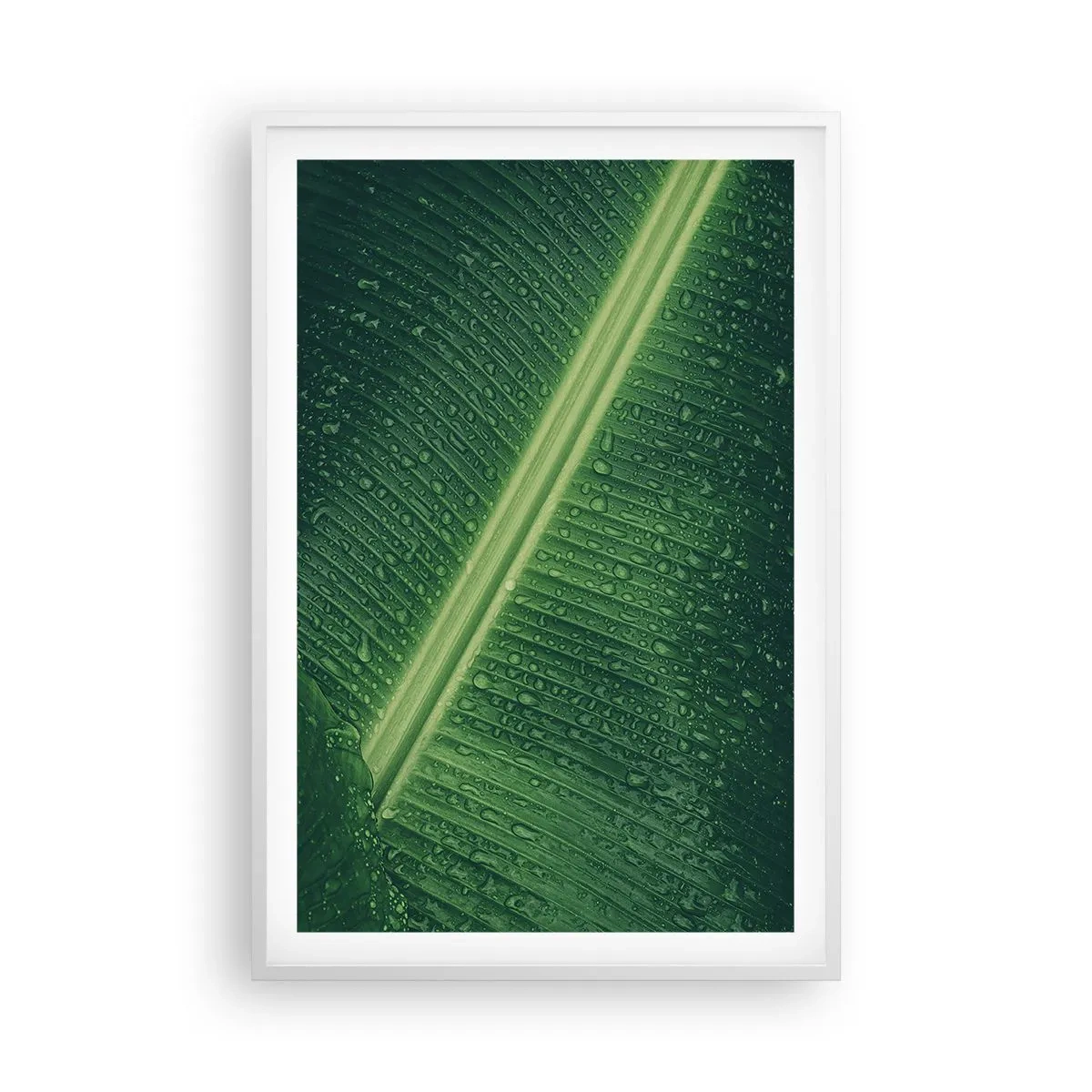 Affiche dans un cadre blanc - Poster - Structure de vert - 61x91 cm