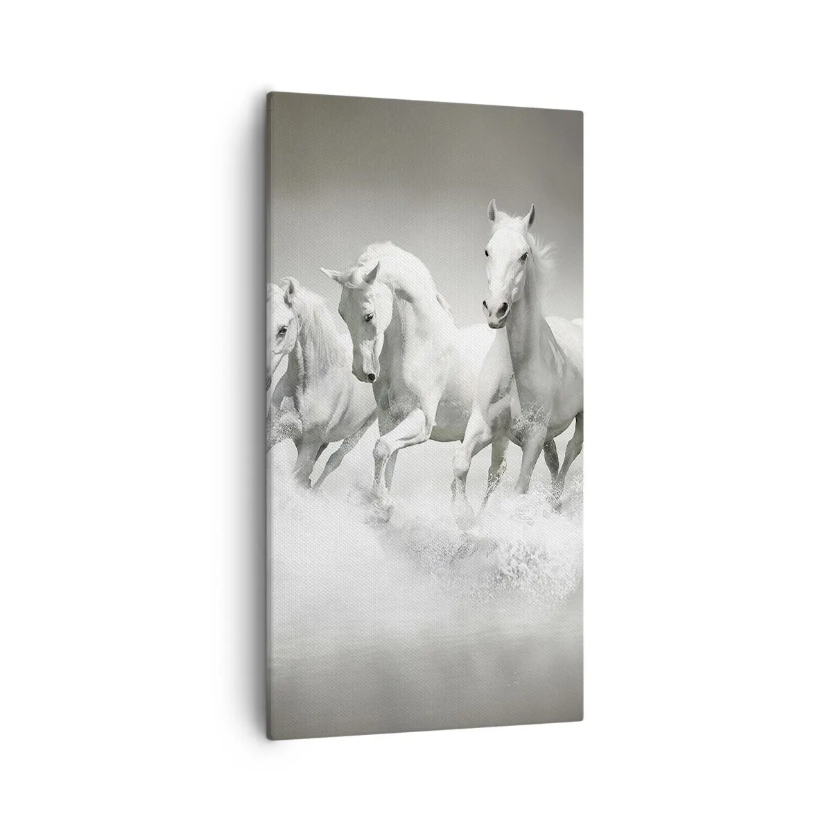 Impression sur toile - Image sur toile - La folie blanche - 55x100 cm